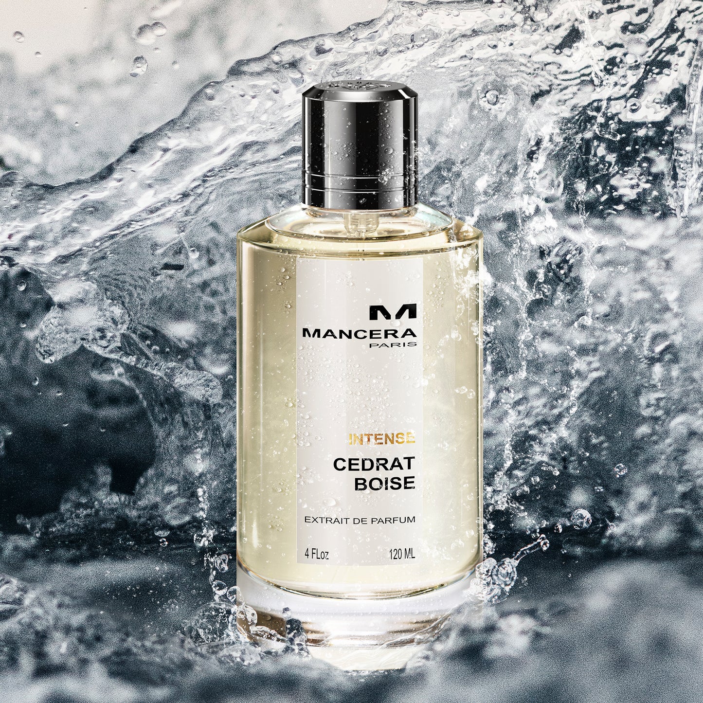 Intense Cedrat Boise